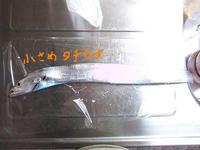 大潮の日は釣りへ～