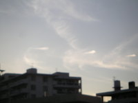 雨は見ながら・・・・ 2007/06/18 13:18:02