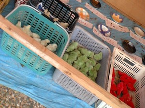 はごろも祭り。ビックリ編。