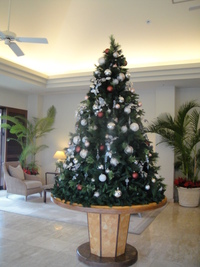クリスマスランチinナハテラス♪ 2011/12/29 19:16:25