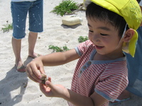 島でのびのびと…