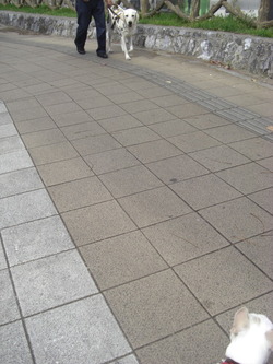 情熱無い陸