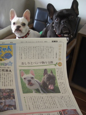 パンツとおしり為替相場