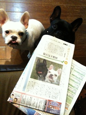 本日は曇天なり