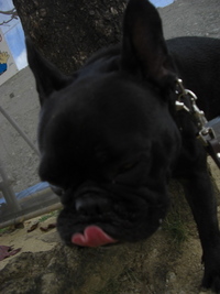 気にすんなよ！ 2009/03/09 20:02:42