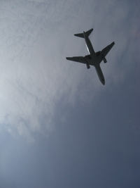 sea me 2009/04/18 21:20:14