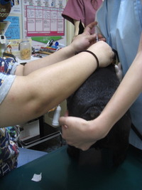 査定upでお願いします。 2009/06/12 20:18:59