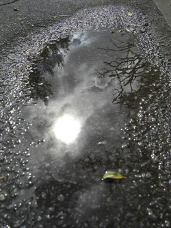 雨のち晴れ時々ボブ