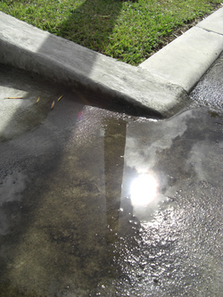 雨のち晴れ時々ボブ