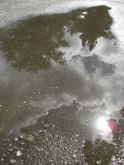 雨のち晴れ時々ボブ