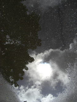 雨のち晴れ時々ボブ