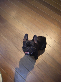 あーしょっぱっ！ 2008/03/12 22:48:25