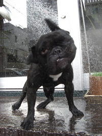 っていうかいい！ 2008/04/16 17:16:08