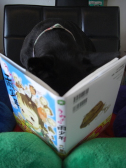 うわさの