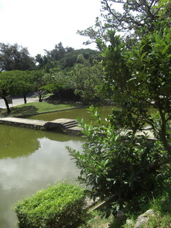 peaceful