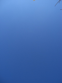 アップアップでアップップ 2008/09/11 22:23:45