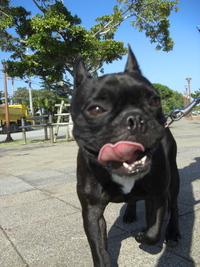 カササカーサ 2008/12/26 23:11:34