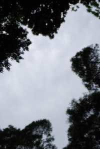 寄り道 2009/03/27 16:33:20