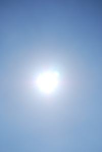 照る照るボーブ照るボーブ明日天気にしておくれ 2009/03/07 11:59:28
