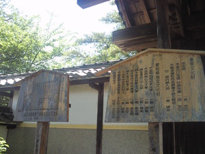 愛知県稲沢市性海寺、穴場スポットはあじさいの名所