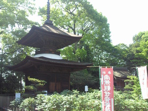 牡丹寺、（ぼたん）愛知県稲沢市萬徳寺