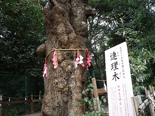 恋愛運アップ 恋の三社めぐり 愛知名古屋のパワースポット 東海古寺攻略