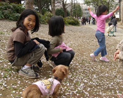 美しが丘公園