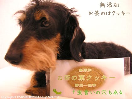 お茶の葉クッキー