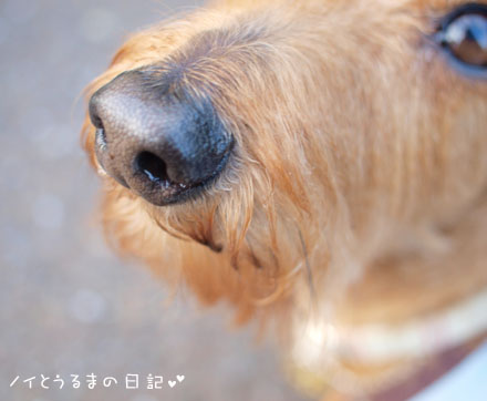 鼻垂れ小僧のうる太郎