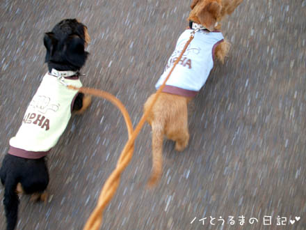 鼻垂れ小僧のうる太郎