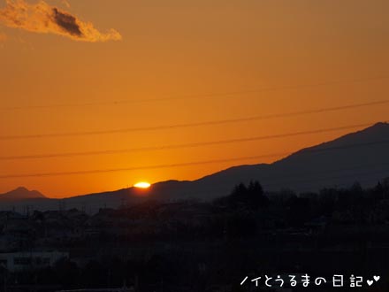 明けましておめでとうございます