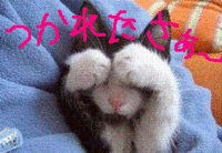 さんざん・・・。 2008/11/14 23:45:03