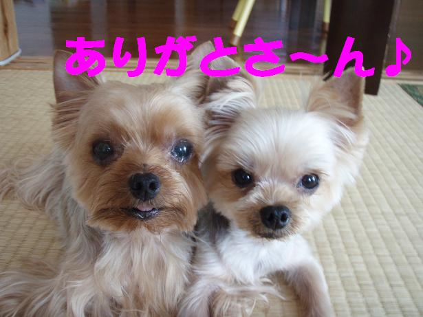 感謝・感謝♪♪