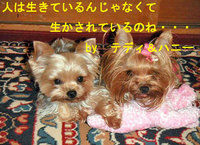 今日を生きる。