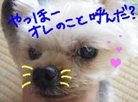 抗菌水のモニタースタート♪♪
