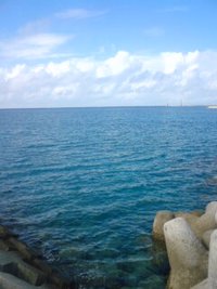 安謝 2008/11/08 13:05:08