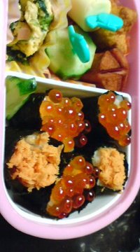 お弁当 2009/01/15 15:50:08