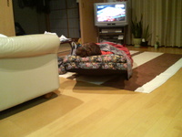 つわりって、なんだろう？ 2008/12/13 01:09:32