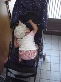 ｚｚｚ