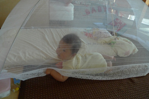 蚊帳から脱走中