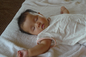 欲張りで気が強そうです