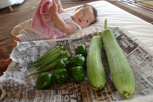 野菜にダイブ！