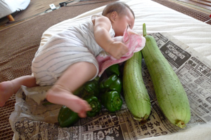 野菜にダイブ！