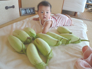 おなすが　白いよ