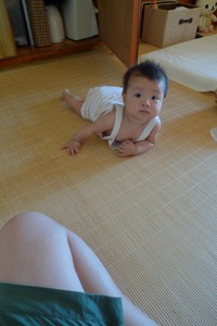 来た、来た！！