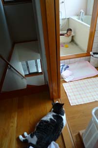サクラ　ありがとう