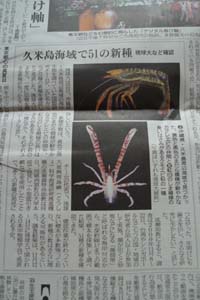 久米島海域で新種５１、確認！