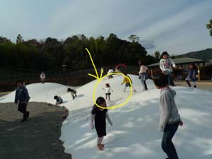 お正月の秦山公園