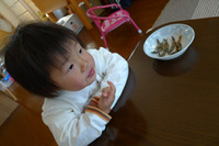 小魚も好き！ 2011/04/06 13:06:16