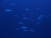 いい感じだぁ♪♪♪ 2010/04/07 20:17:52